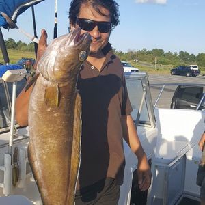 Meet your Posher, Nash